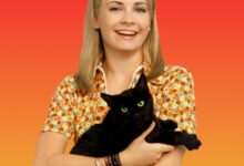 These Sabrina the Teenage Witch Secrets Are Absolutely Spellbinding