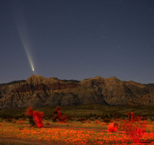 Two comets will be visible in the night skies this month