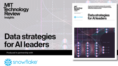 Data strategies for AI leaders