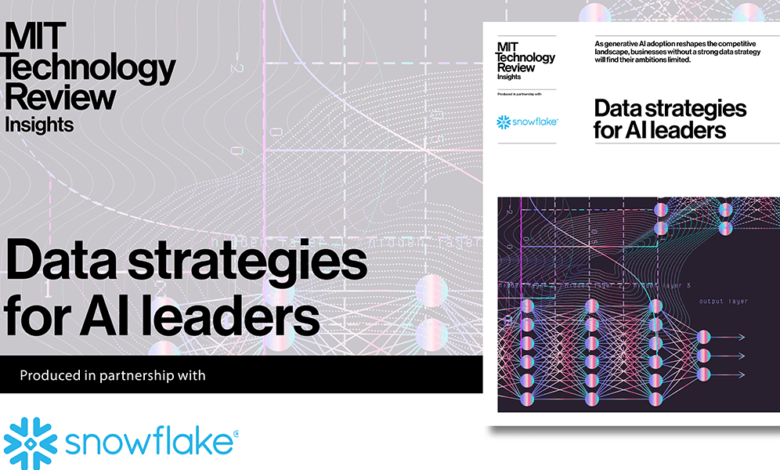 Data strategies for AI leaders