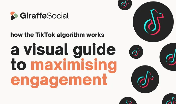 How the TikTok Algorithm Works [Infographic]