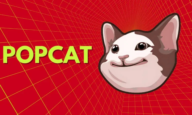 POPCAT Leads Crypto Market, Will the Rally Continue?