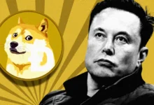 Elon Musk Spicing Up Dogecoin Rally, Will DOGE Momentum Continue?