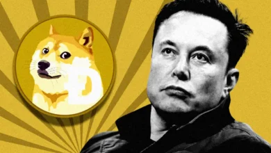 Elon Musk Spicing Up Dogecoin Rally, Will DOGE Momentum Continue?