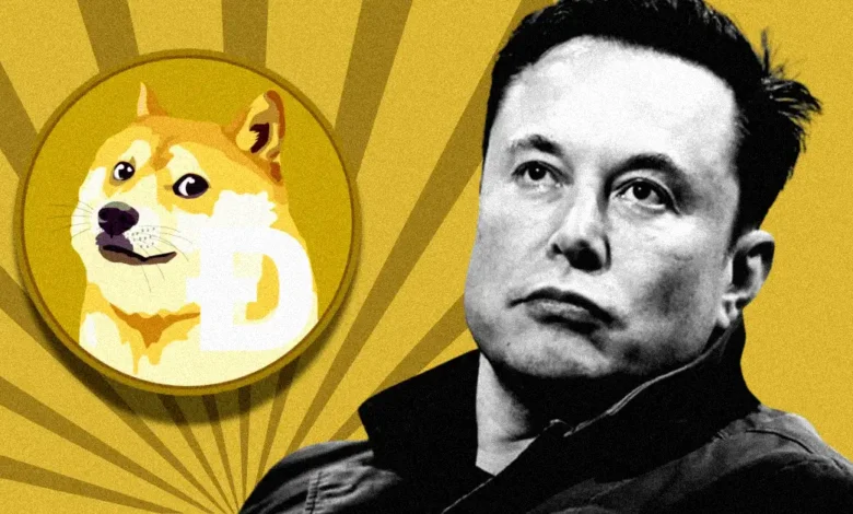 Elon Musk Spicing Up Dogecoin Rally, Will DOGE Momentum Continue?