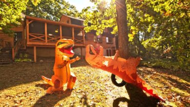 New Hampshire Homeowners Enlist a T-Rex Squad To Help Sell Their Home—and the Photos Are Hilarious