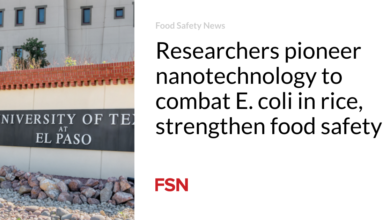 Researchers pioneer nanotechnology to combat E. coli in rice, strengthen food safety