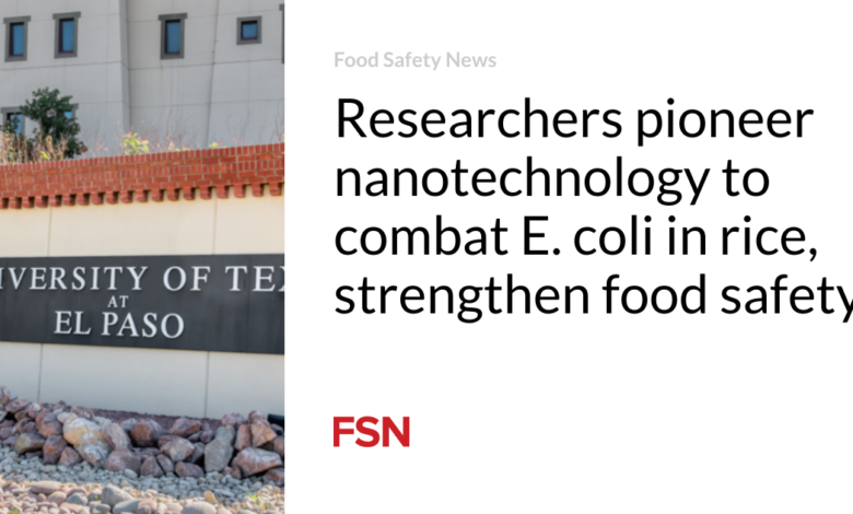 Researchers pioneer nanotechnology to combat E. coli in rice, strengthen food safety