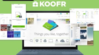 Protect Your Business Data Without Sacrificing Privacy With Koofr Cloud Storage on Sale