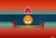 Watch Out: Shiba Inu (SHIB) Team Issues an Important Alert to the Community