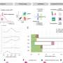 Intrinsic factors of CAR-T cells may play a major role in their clinical success