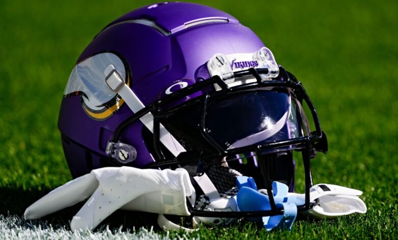 Vikings Defender Hits IR