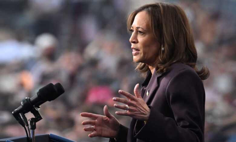 Kamala Harris: “Sometimes the Fight Takes a While—That Doesn’t Mean We Won’t Win”