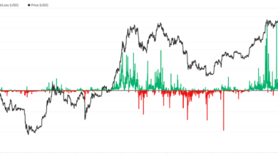 Why Bitcoin Will Soar Above Its Fresh Record: Van Straten