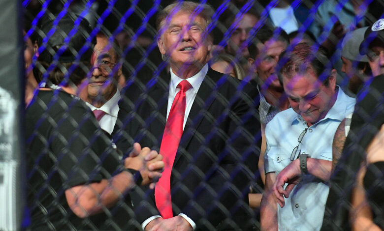 Will Donald Trump attend UFC 309? Fighters expect President-elect to be there