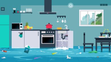 5 Immediate Things You Should Do If Your House Floods