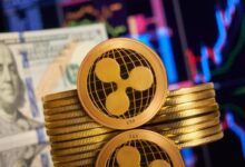 XRP Ledger Booms: $44 Million In Transactions As Activity Soars