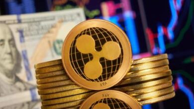 XRP Ledger Booms: $44 Million In Transactions As Activity Soars