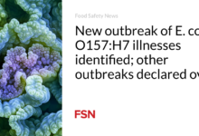 New outbreak of E. coli O157:H7 illnesses identified; other outbreaks declared over