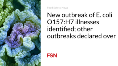 New outbreak of E. coli O157:H7 illnesses identified; other outbreaks declared over