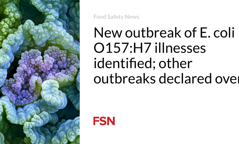 New outbreak of E. coli O157:H7 illnesses identified; other outbreaks declared over