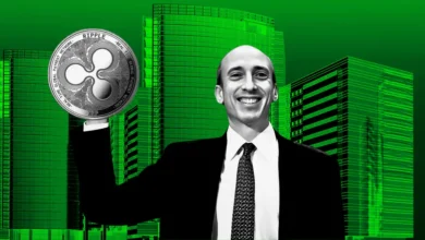 ‘Gary Gensler Didn’t Sue Anyone’: Legal Expert Slams Lawsuit by 18 States Against SEC as ‘Frivolous’