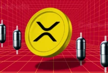 XRP News: Legal Expert Says SEC’s Latest Appeal Has Nothing To Do With $125 Million Penalty