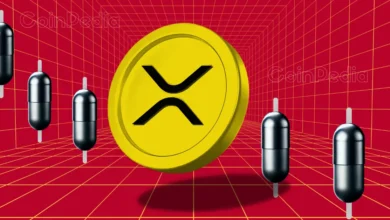 XRP News: Legal Expert Says SEC’s Latest Appeal Has Nothing To Do With $125 Million Penalty