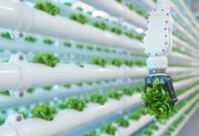 Top food tech trends for 2025 revealed