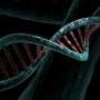 Researchers zero in on genetic variant tied to miscarriages