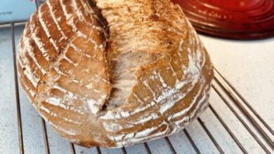 Flour, water, salt, GitHub: The Bread Code is a sourdough baking framework