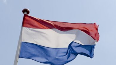 Two more operators penalised for unlicensed activity in Netherlands