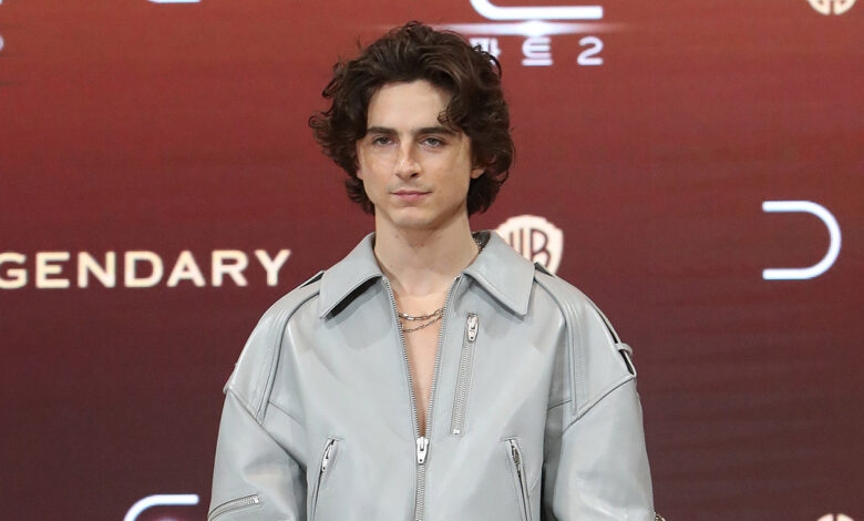 Timothée Chalamet Says He Lost Out on ‘Maze Runner,’ ‘Divergent’ Roles Because He Didn’t “Have the Right Body”