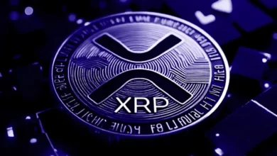 Time to Buy XRP? Whales Add $290M in Tokens