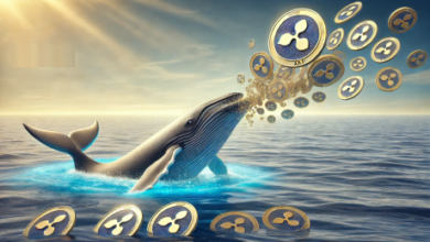 CryptoQuant CEO Warns Not To Short XRP Due To Insider Whale Activity