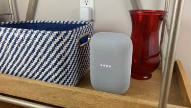 Google Home preview users just got another Gemini AI feature