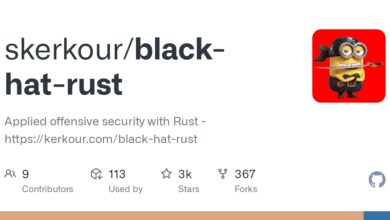 Black Hat Rust