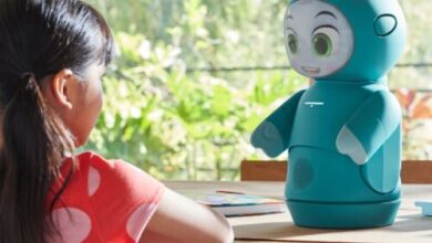 Startup will brick $800 emotional support robot for kids without refunds