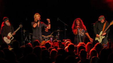 Soundgarden’s surviving members reunite for charity set – with the help of Guns N’ Roses’ Duff McKagan