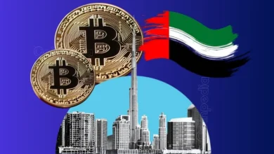 UAE Holding $40 Billion Worth Bitcoin? Truth or Rumor?