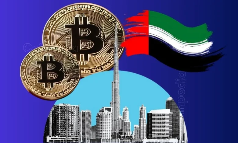 UAE Holding $40 Billion Worth Bitcoin? Truth or Rumor?