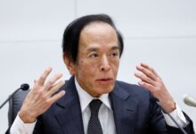 BOJ’s Ueda expects further progress in hitting price target next year