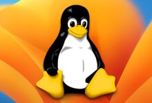 What will 2025 bring for Linux PCs?