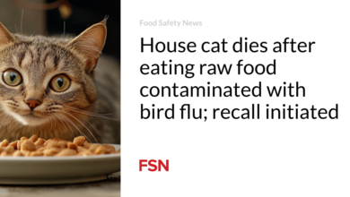 House cat dies after eating raw food contaminated with bird flu; recall initiated