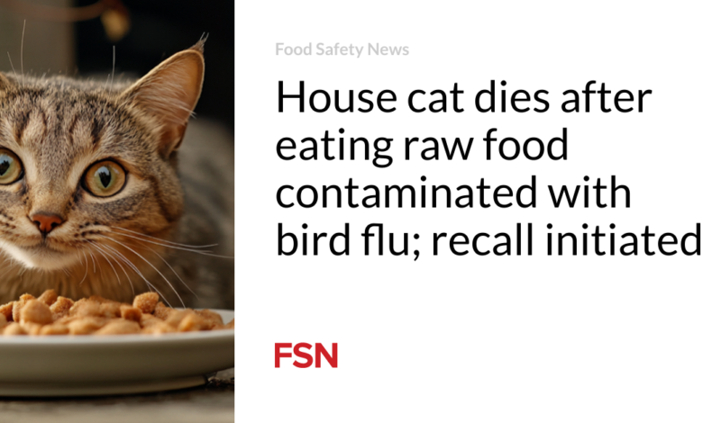 House cat dies after eating raw food contaminated with bird flu; recall initiated