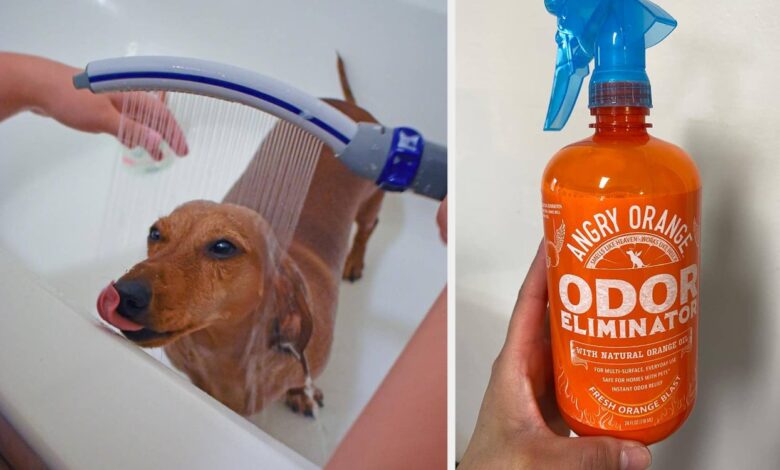 40 Essential Products For Anyone In Their Pet Parent Era