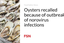 Oysters recalled because of outbreak of norovirus infections