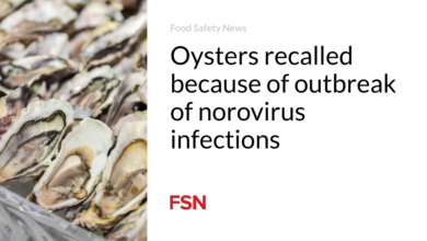 Oysters recalled because of outbreak of norovirus infections