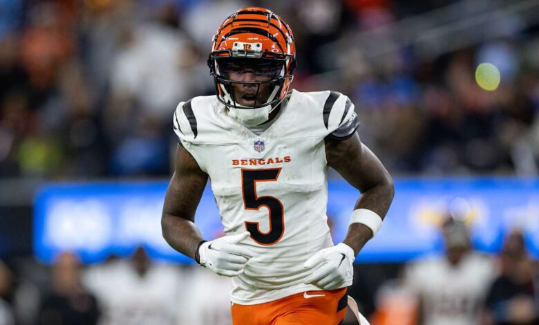 Bengals WR Tee Higgins (knee/ankle) active for Saturday’s game vs. Broncos                           Dec 28, 2024