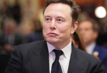 Musk Backs German Far-Right Party in Controversial Opinion Piece